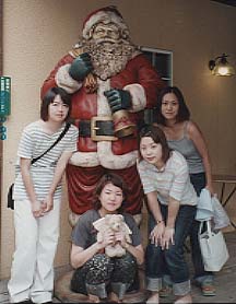 in�N���X�}�X�̐X
